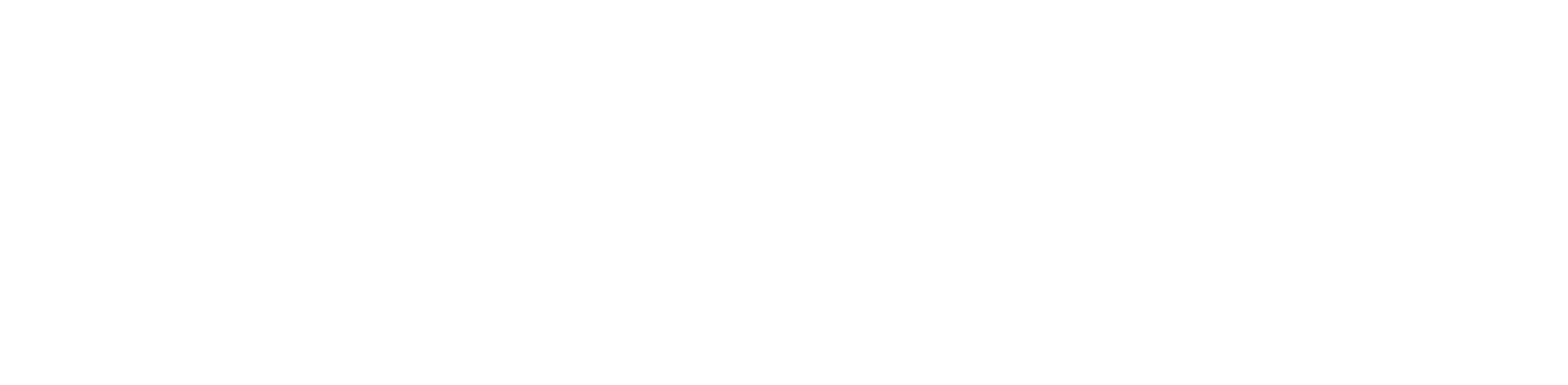 spot custom